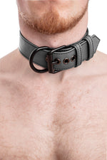 Model wearing grey leather pup collar