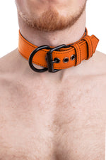 Model wearing orange leather pup collar