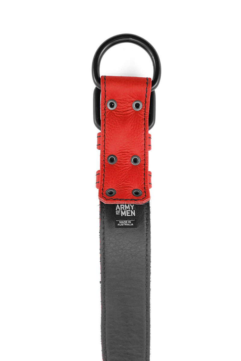 Red leather pup collar lining