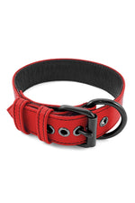 Red leather pup collar