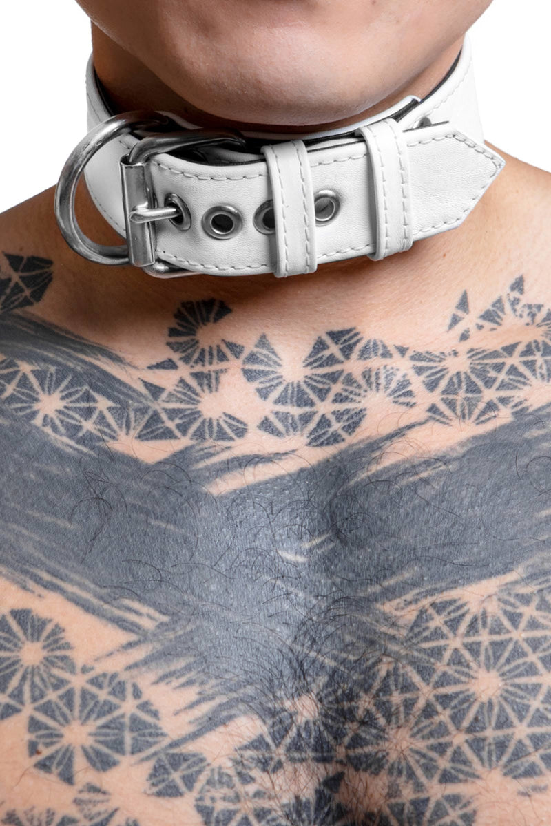 Model wearing 1.5" wide white leather pup collar with stainless steel buckle and D-ring