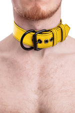 Model wearing yellow leather pup collar