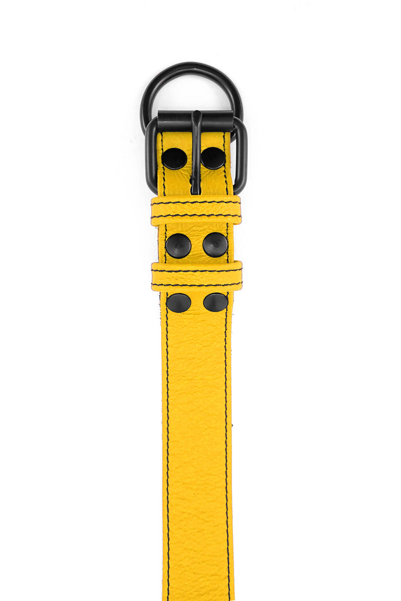 Yellow leather pup collar