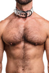 Model wearing metallic silver leather pup collar