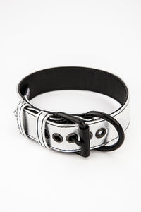 Metallic silver leather pup collar