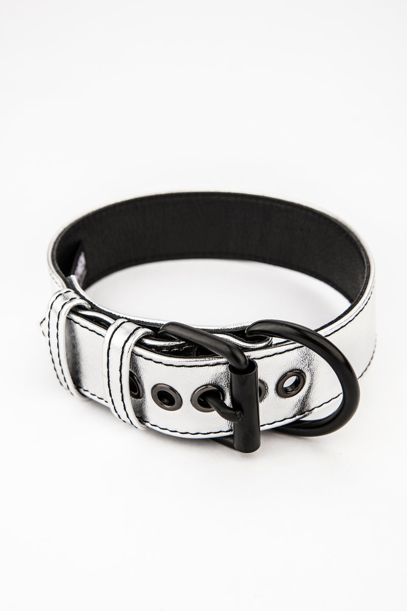 Metallic silver leather pup collar