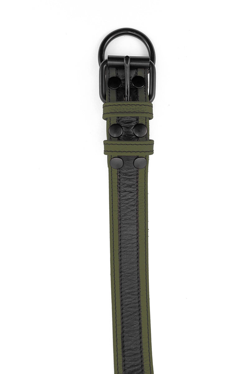 Army green leather racer stripe pup collar