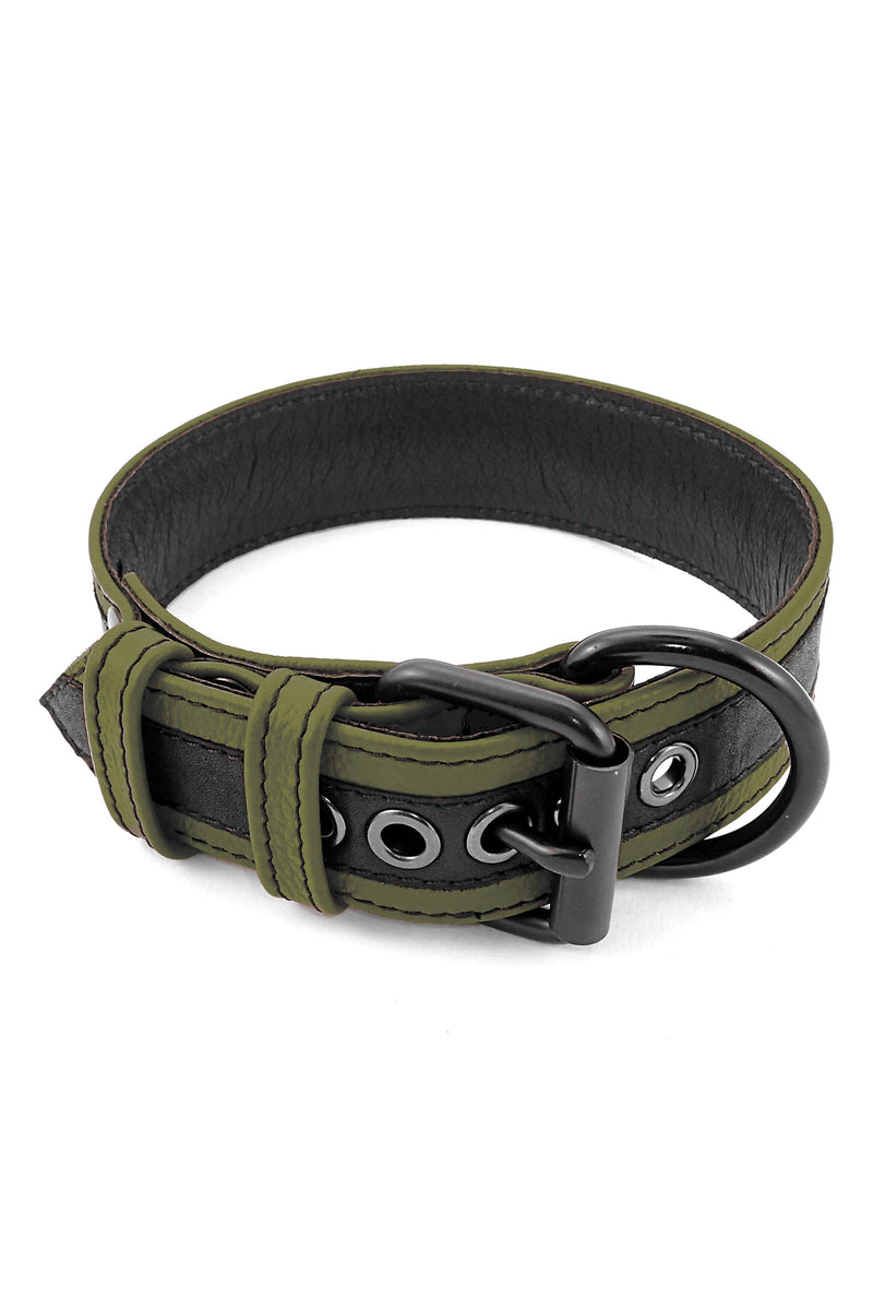 Army green leather racer stripe pup collar