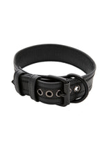 1.5" black racer stripe leather pup collar with matt black metal buckle and D-ring