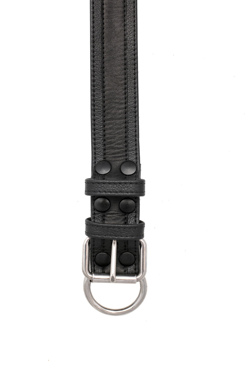 1.5" black racer stripe leather pup collar with stainless steel buckle and D-ring