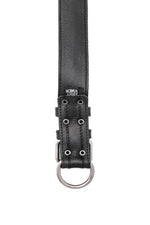 1.5" black racer stripe leather pup collar with stainless steel buckle and D-ring