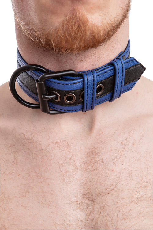 Model wearing black and blue leather racer stripe pup collar