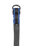 Blue leather racer stripe pup collar lining