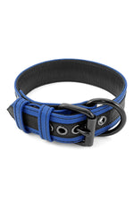 Blue leather racer stripe pup collar