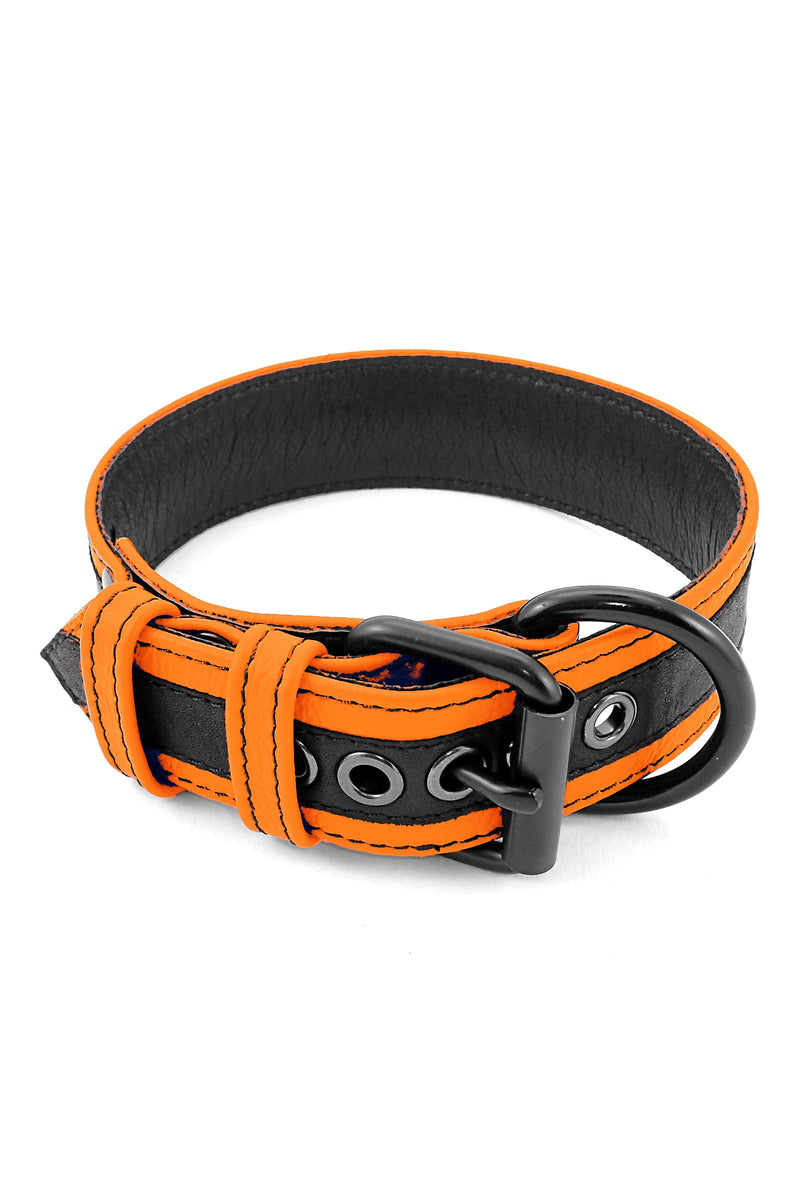 Orange leather racer stripe pup collar