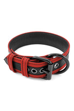 Red leather racer stripe pup collar