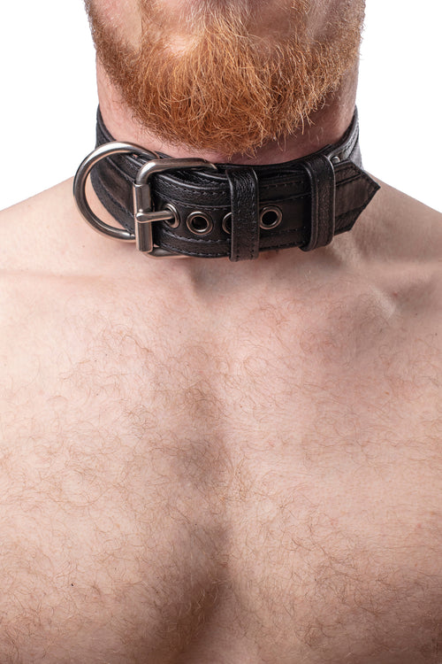 Model wearing black racer stripe leather pup collar with stainless steel buckle and D-ring