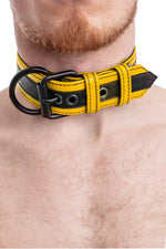 Model wearing black and yellow leather racer stripe pup collar