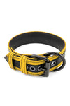 Yellow leather racer stripe pup collar