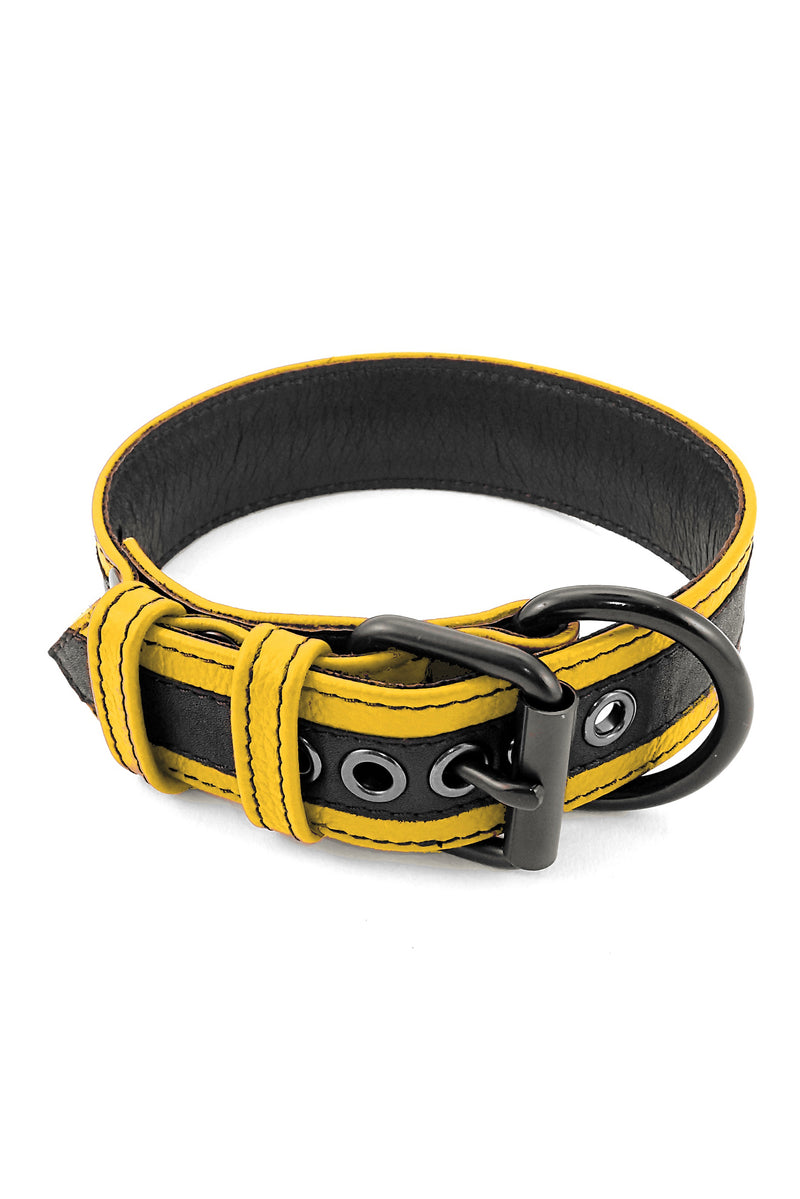 Yellow leather racer stripe pup collar