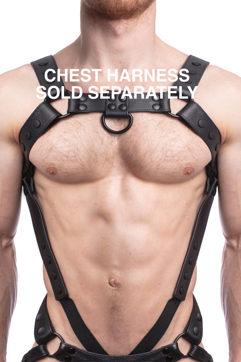 Chest harness sold separately. Model wearing a black leather bulldog harness and connector with black hardware.