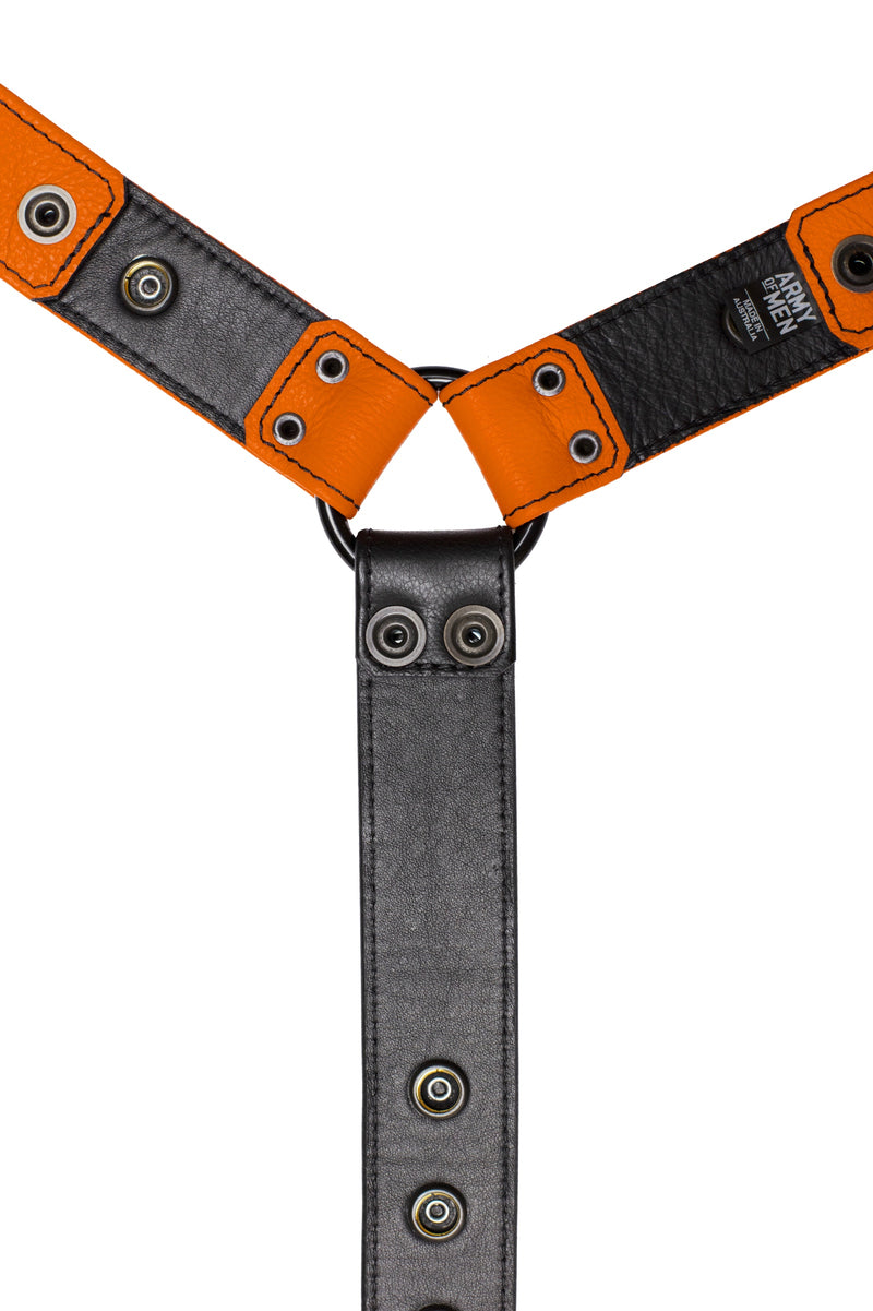 Orange leather bulldog harness connector with black hardware. Lining.