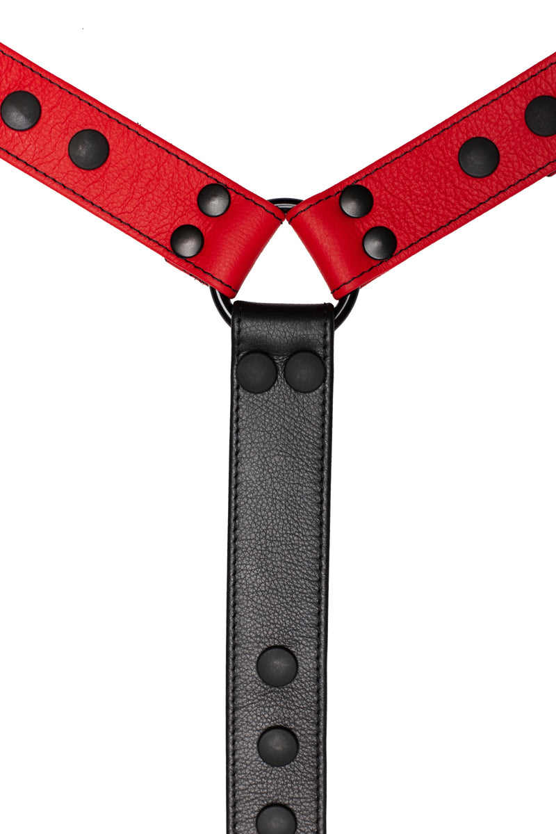 Red leather bulldog harness connector with black hardware. Close up.