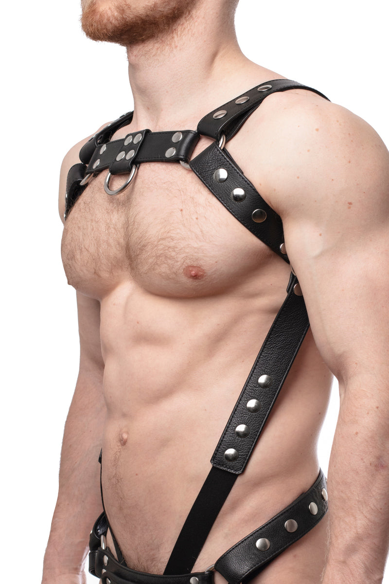 Model wearing a black leather bulldog harness and connector with stainless steel hardware. Connector attached to a cockring. Side.