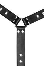 Black leather bulldog harness connector with stainless steel hardware. Close up.