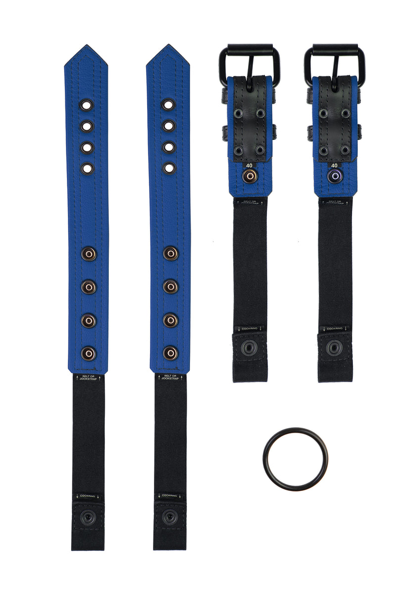 Pair of black and blue leather combat harness connectors with black hardware. Separated. Back view.