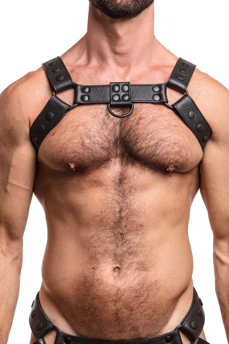 Model wearing black leather bulldog harness with black hardware. Front.