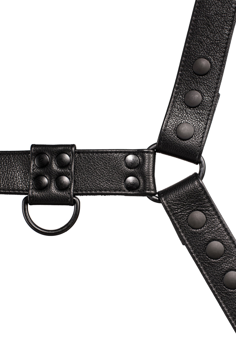 Black leather bulldog harness with black hardware. Close up.
