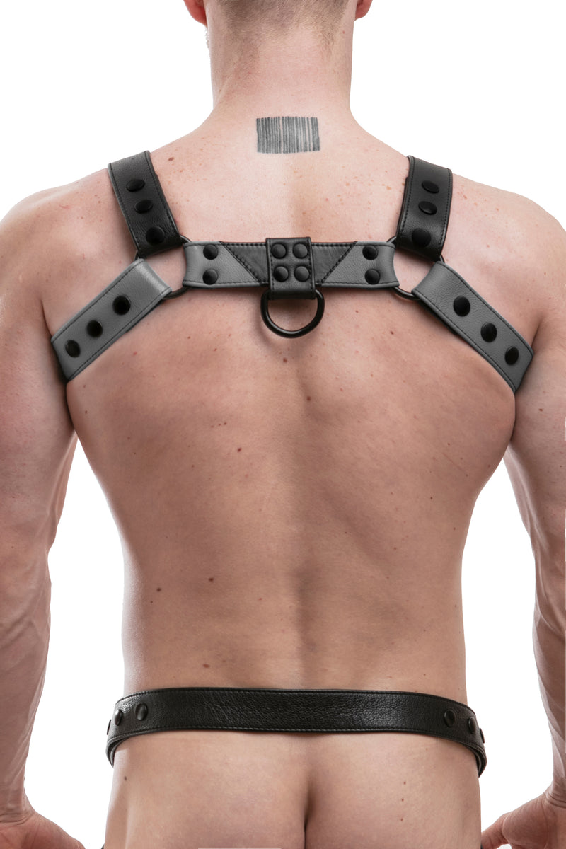 Model wearing a grey leather chevron bulldog harness