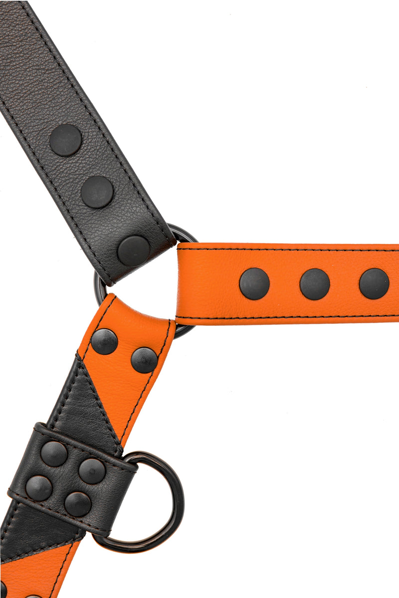 Orange leather chevron bulldog harness