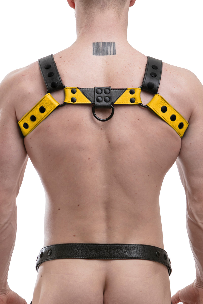 Model wearing a yellow leather chevron bulldog harness