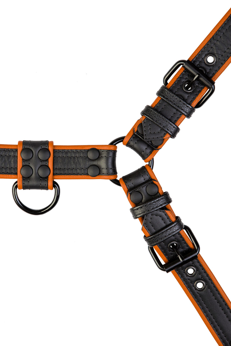 Black and orange leather combat bulldog harness with matt black metal hardware. Front view.
