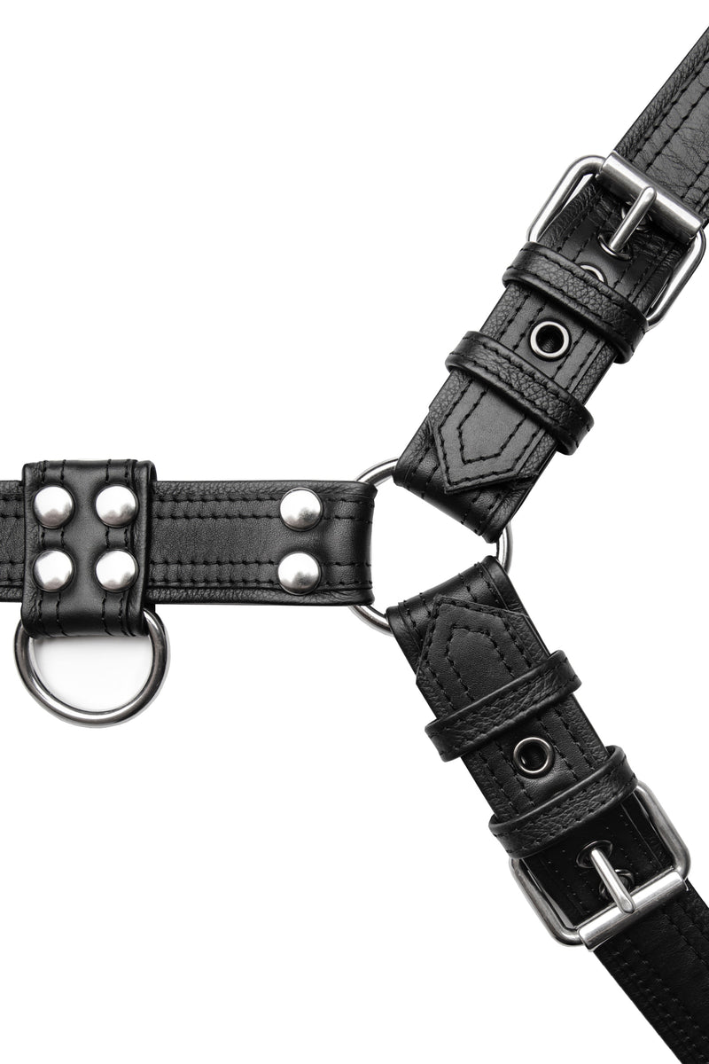 Black leather combat bulldog harness with stainless steel hardware. Front view.