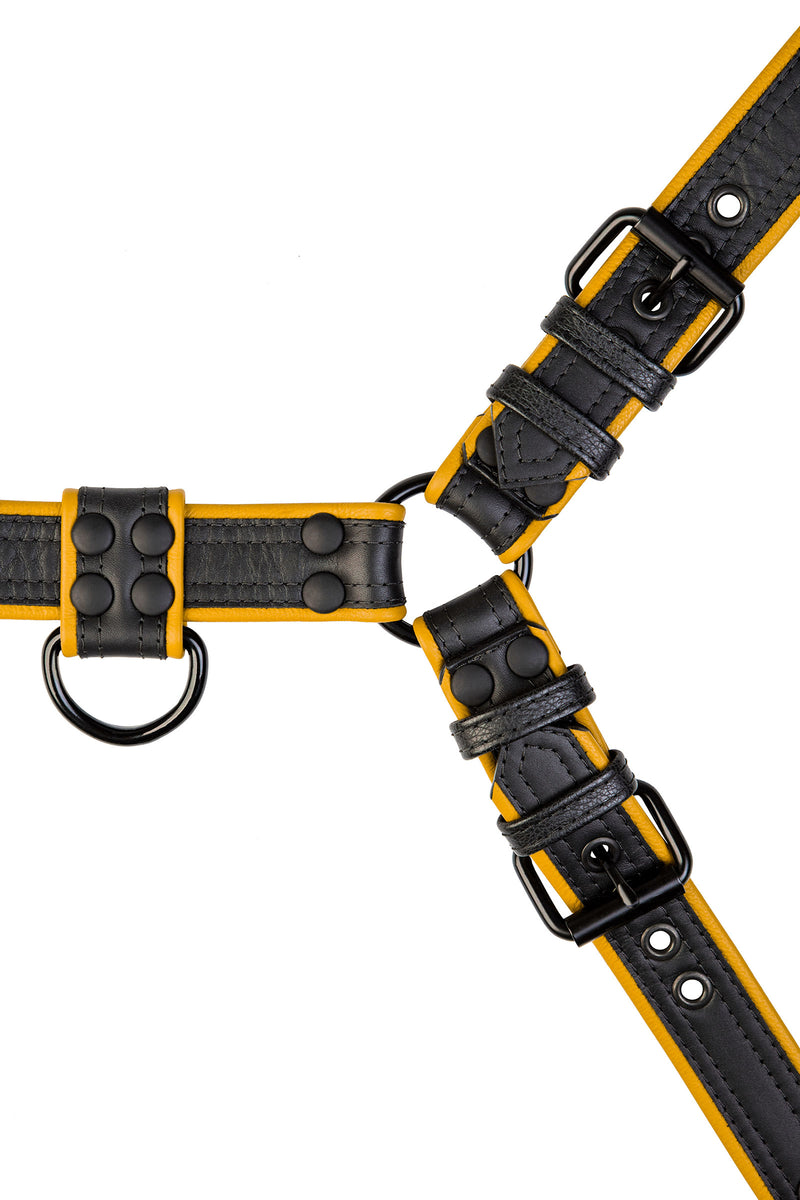 Black and yellow leather combat bulldog harness with matt black metal hardware. Front view.