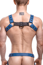 Model wearing a blue leather bulldog harness with black hardware. Back.