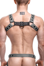 Model wearing a grey leather bulldog harness with black hardware. Back.