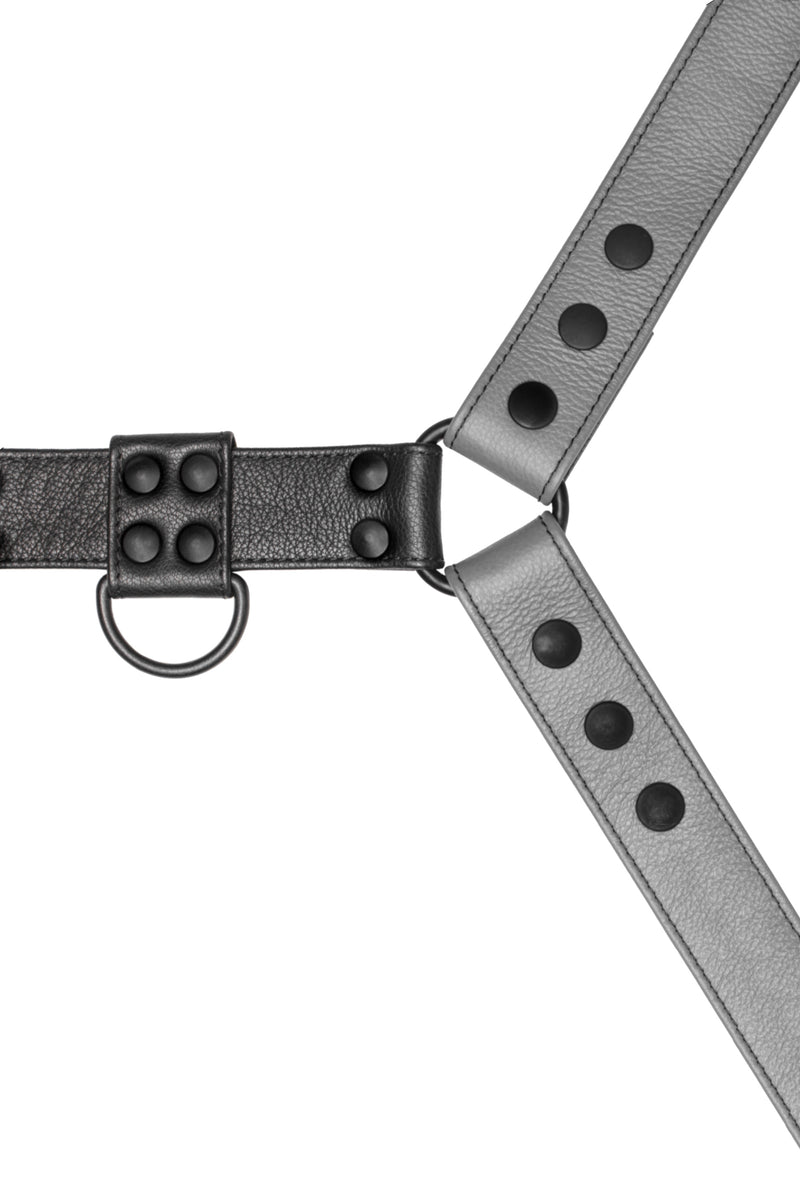 Grey leather bulldog harness with black hardware. Close up.