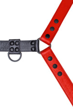 Red leather bulldog harness with black hardware. Close up.