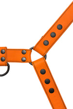 Full orange leather bulldog harness with black hardware.