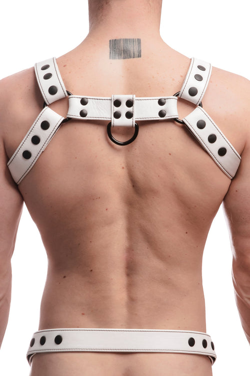Model wearing a white leather bulldog harness with black hardware. Back.