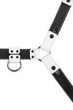 Product photo of a white leather bulldog harness with stainless steel hardware. Back view.