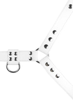 Product photo of a white leather bulldog harness with stainless steel hardware. Front view.