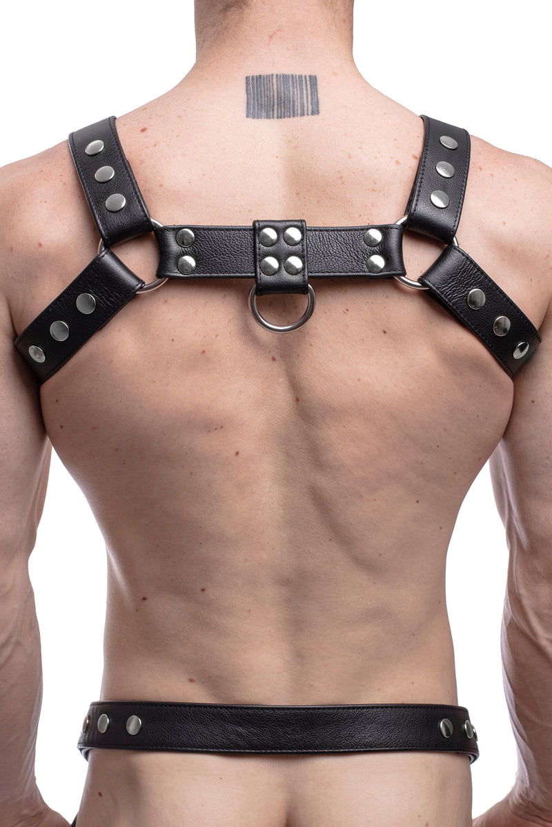 Model wearing a black leather bulldog harness with stainless steel hardware. Back.