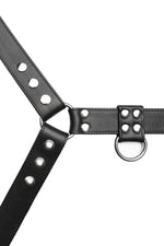 Black leather bulldog harness with stainless steel hardware. Close up.