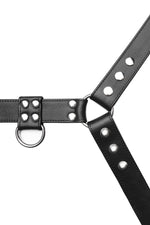 Black leather bulldog harness with stainless steel hardware. Close up.
