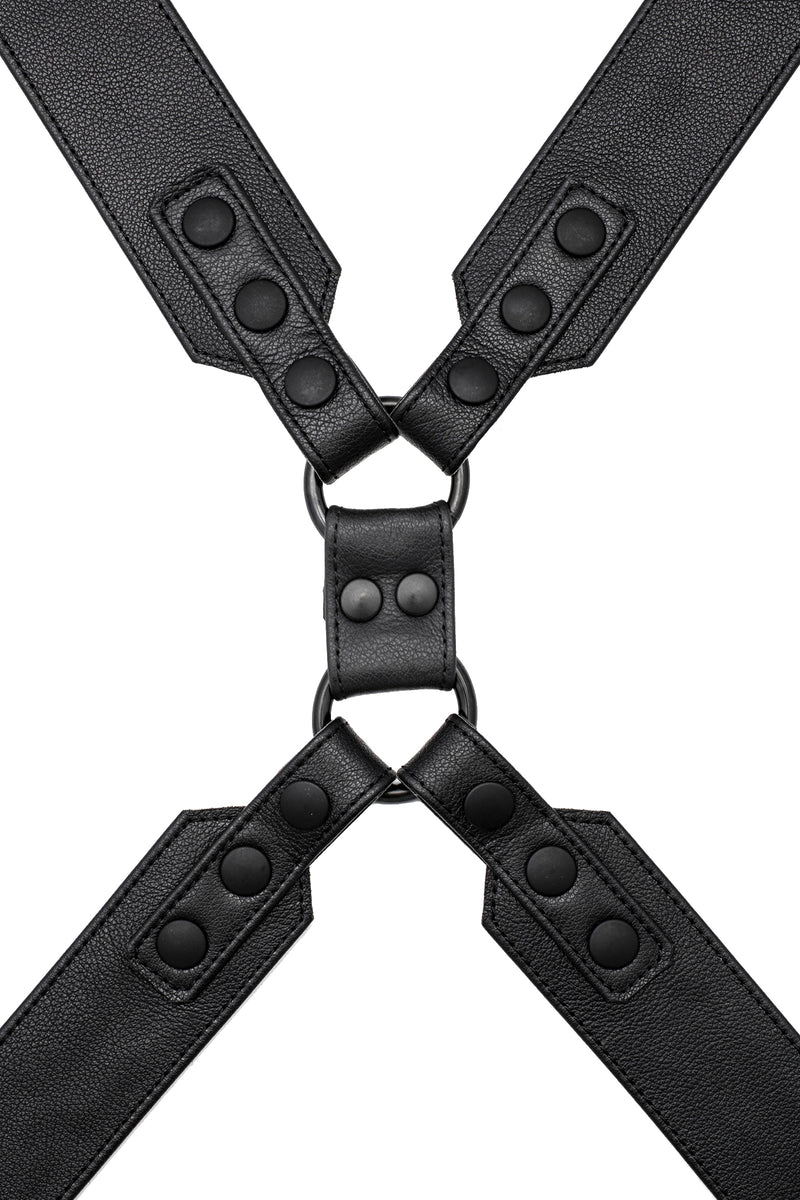 Black leather commander harness with matt black hardware
